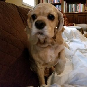 Meet your Posher, Candace